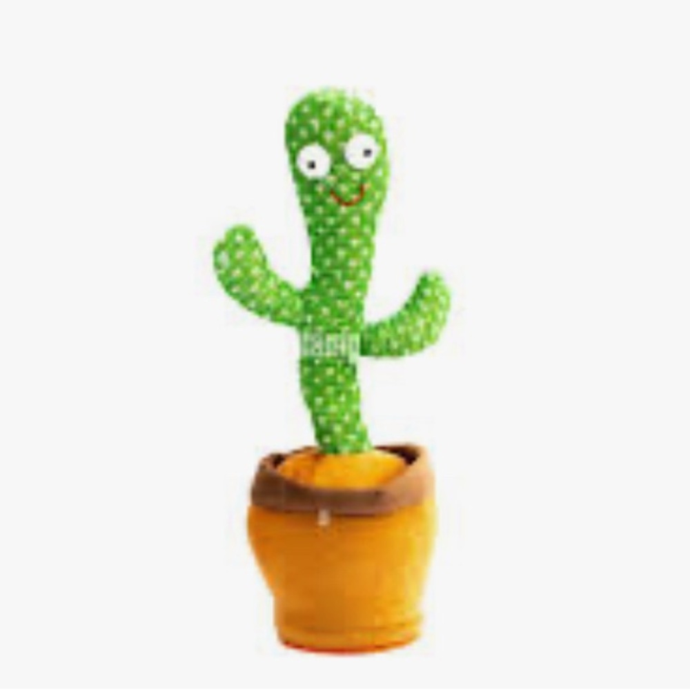 Cactus